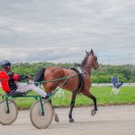 Спортивный праздник с лошадьми состоялся в Кургане